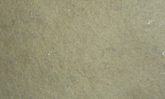 BROWN LIMESTONE